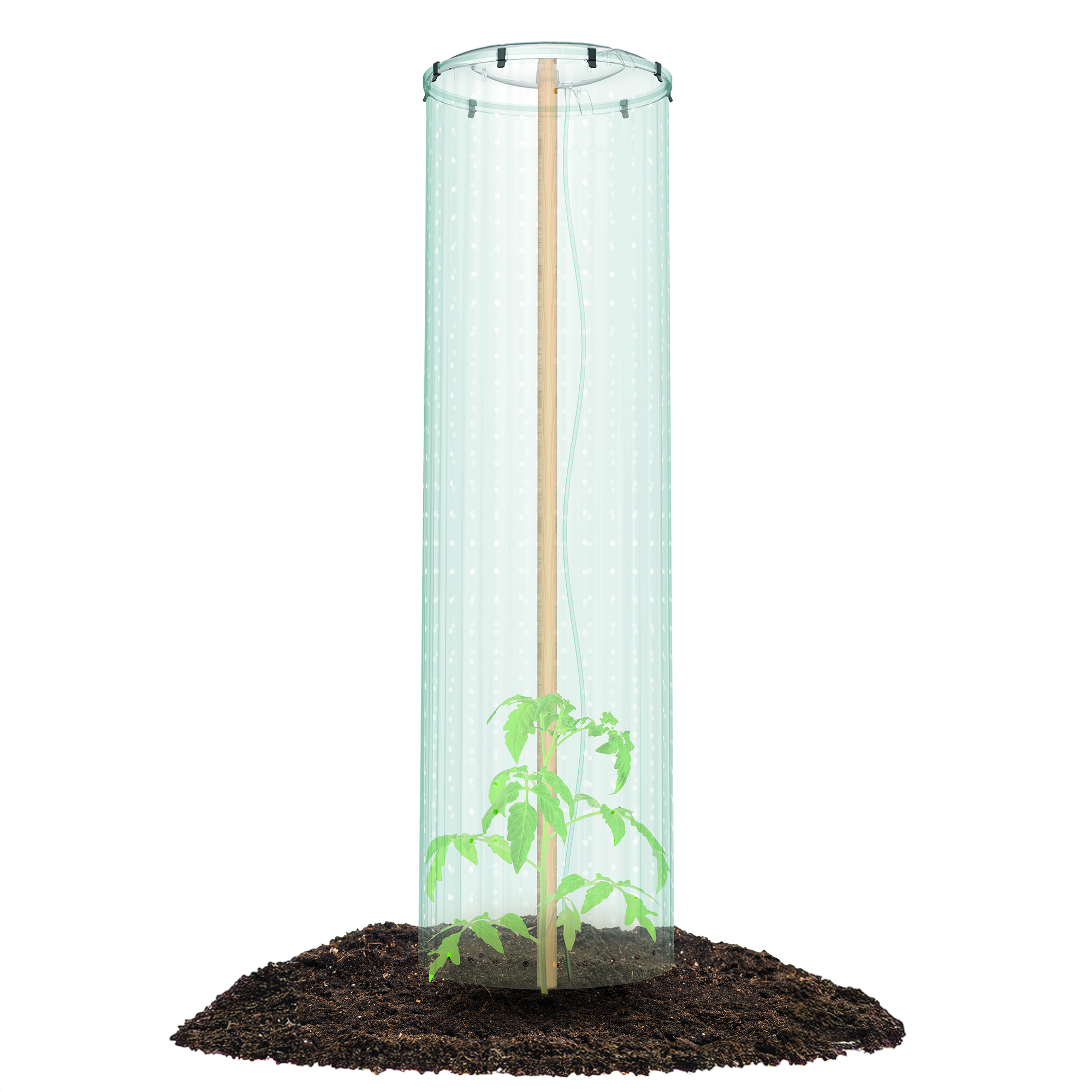 Veko na kvetináč na paradajky Tomato Grower Cap PROSPERPLAST