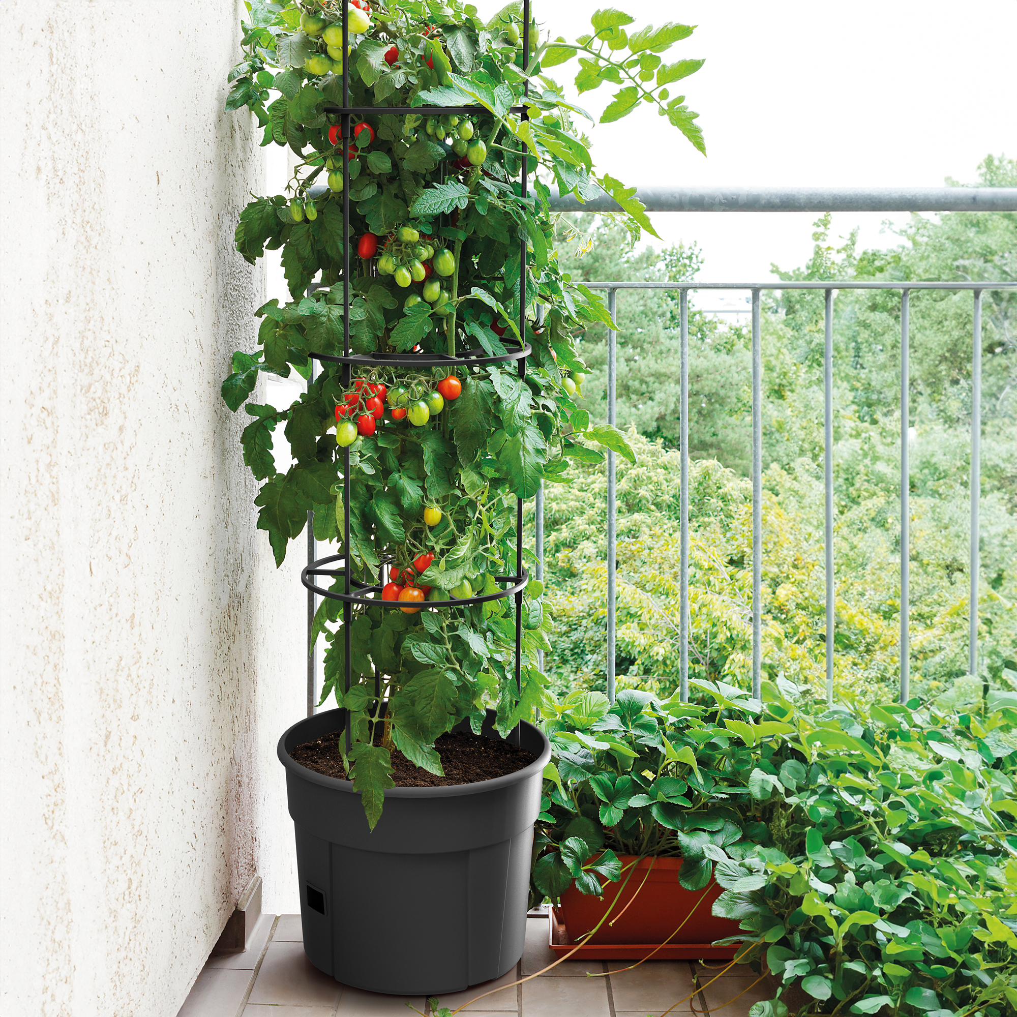 Květináč na rajčata Tomato Grower 28 l PROSPERPLAST
