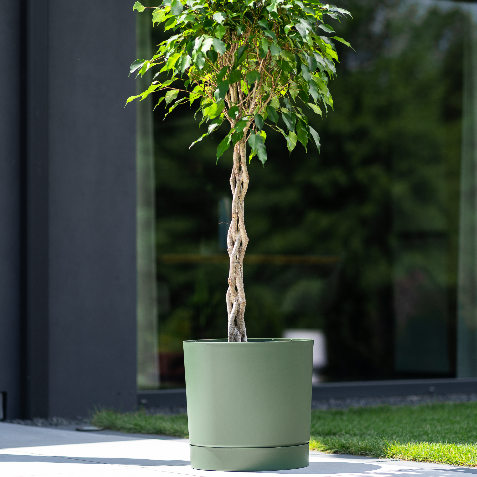 Donica ogrodowa Tubo P 17,8 cm zielona pinia PROSPERPLAST