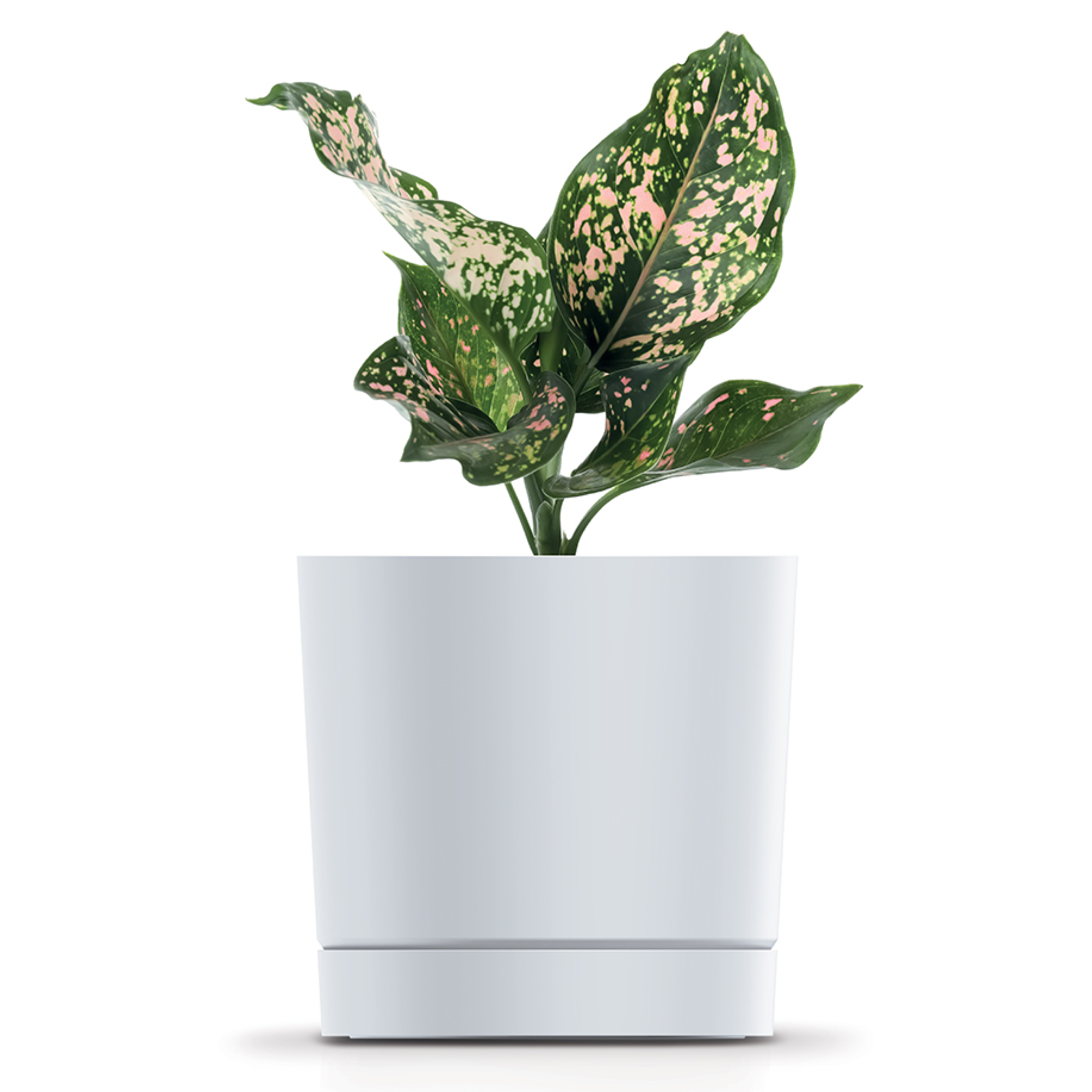 Blumentopf Tubo P 23,9 cm weiß PROSPERPLAST