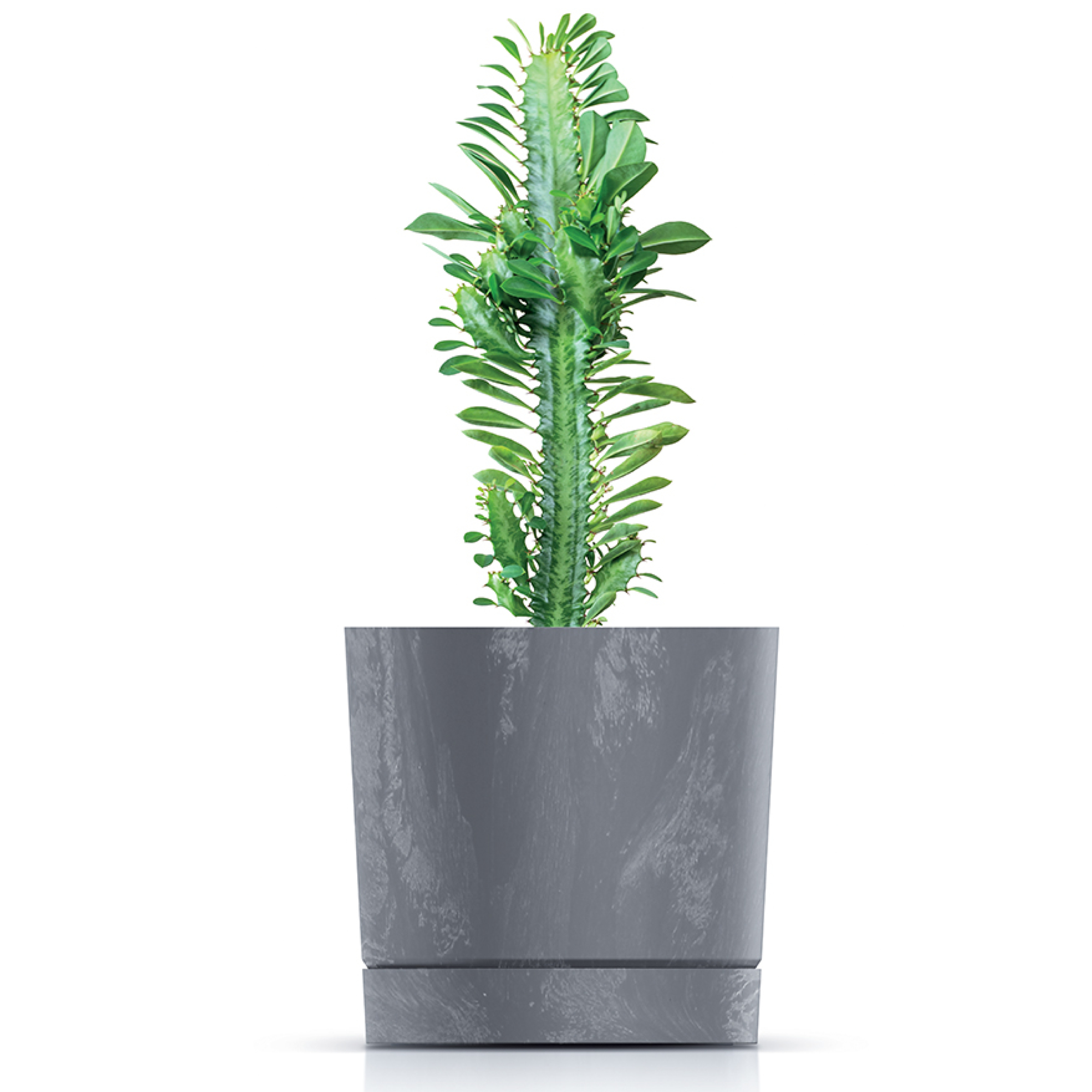 Blumentopf Tubo P 19,9 cm marengo PROSPERPLAST
