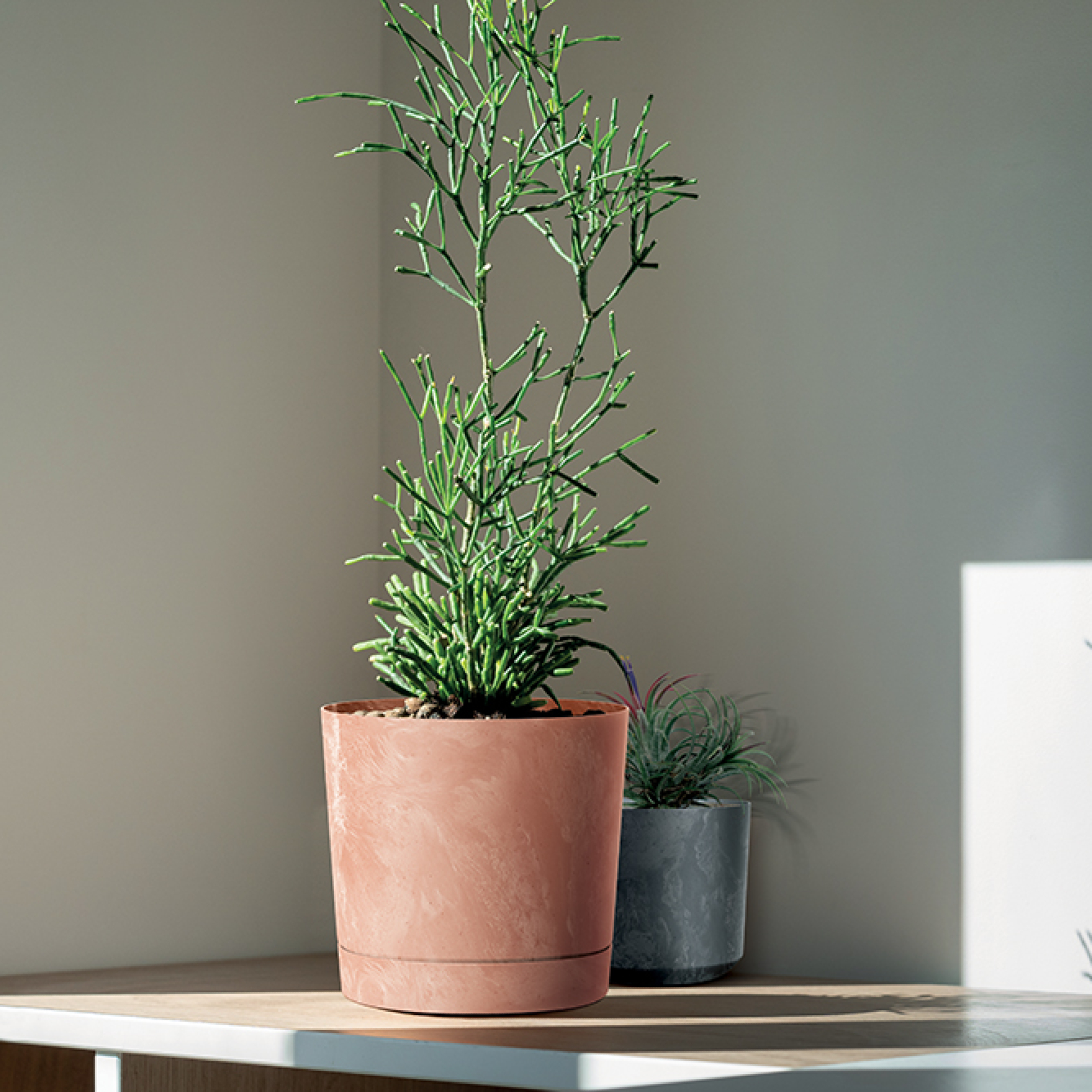 Blumentopf Tubo P 19,9 cm marengo PROSPERPLAST