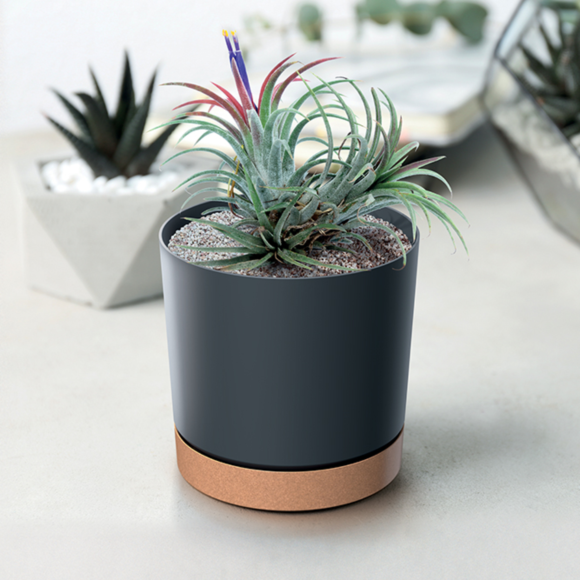 Dekorativer Blumentopf  Tubo PM 17,8 cm anthrazit PROSPERPLAST