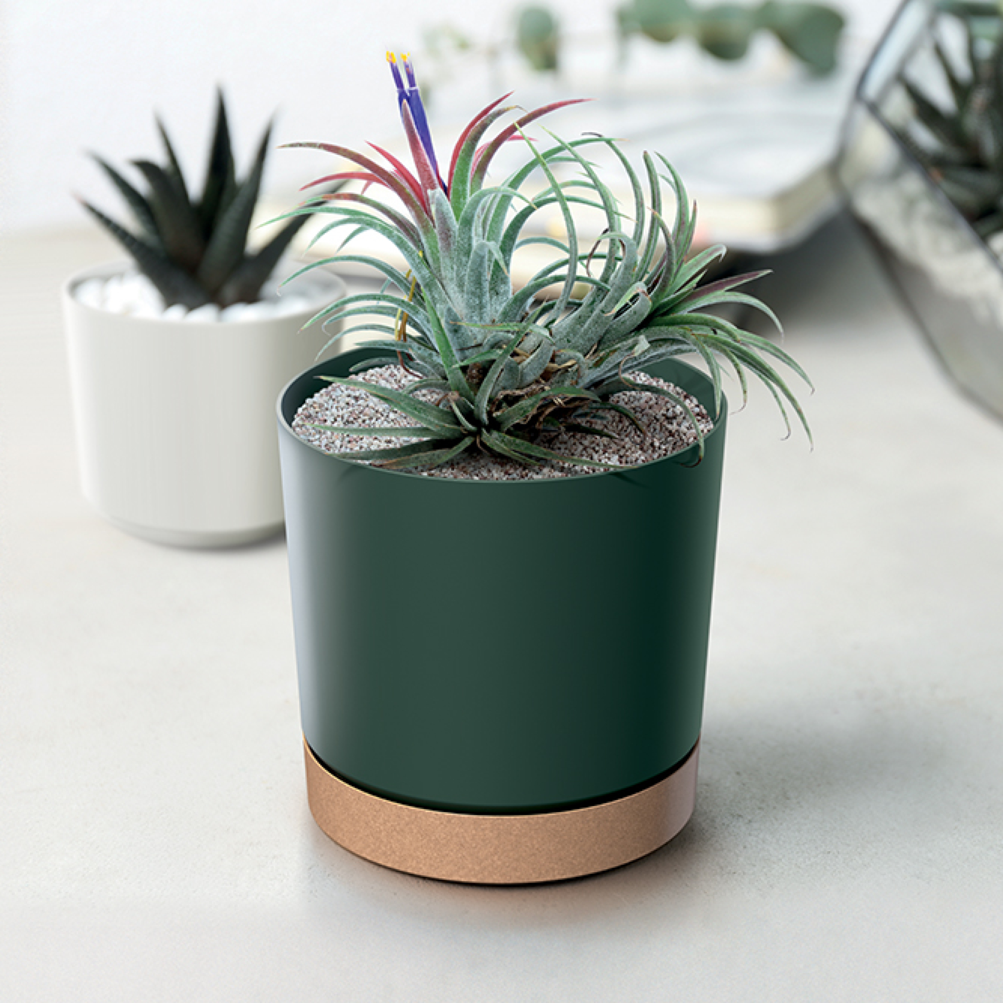 Blumentopf Tubo PM 19,9 cm grün pinia PROSPERPLAST