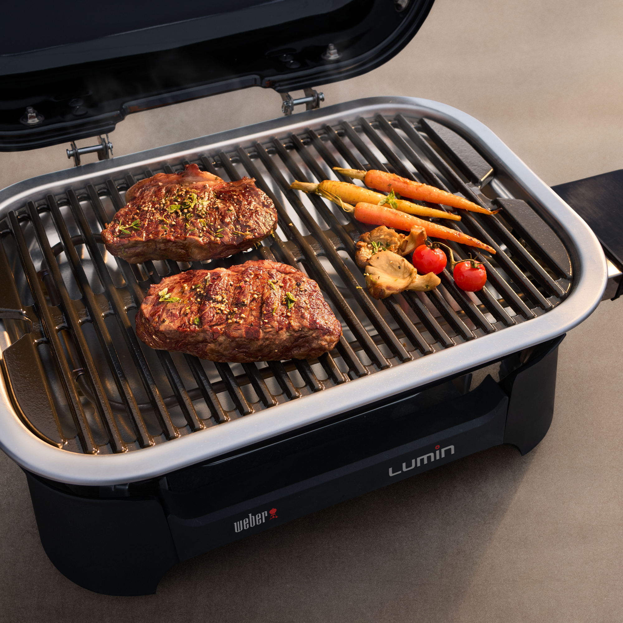 Elektrogrill mit Stand Lumin WEBER 92010879