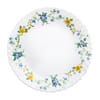 Assiette plate Cybelle 25 cm ARCOPAL