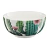 Bowl Cactus 13 cm AMBITION